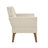 Newtin Mid-Century Modern Accent Chair-126140644