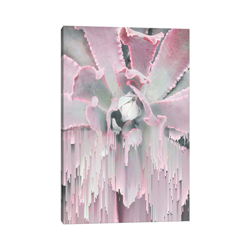 Glitched Succulent I 1 Piece Wrapped Canvas Painting, 20.32 cm H x 30.48 cm W