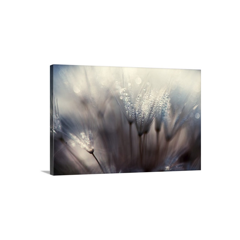 "The Forest" par Thomas Dam, impression sur toile, 24 po x 36 po