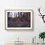 Bluebell Forest In Canterbury Painting - Single Picture Frame Print on MDF-56633201-56633200