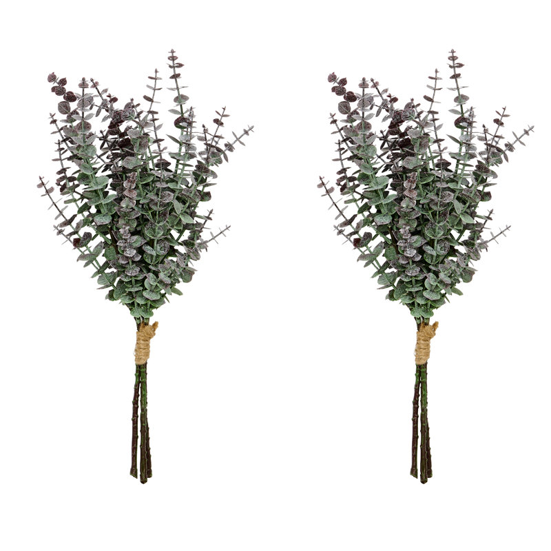 17" Eucalyptus Bush