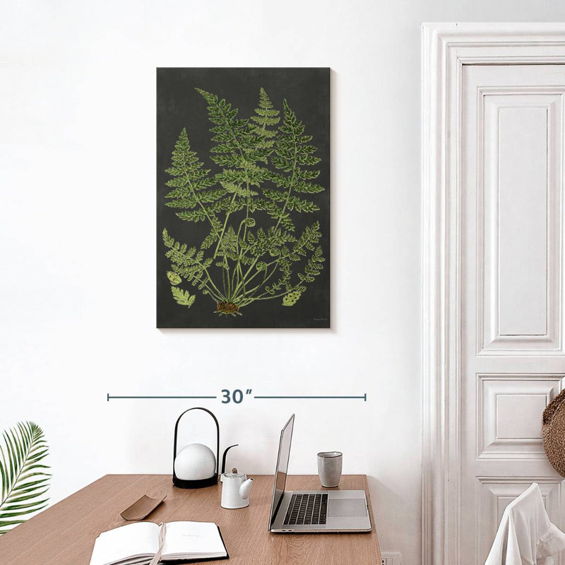 Harnek Fern Study, H 30 po x l 20 po