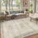  Area Rug for Living Room, Machine Washable Vintage Antique Distressed Rugs for Bedroom