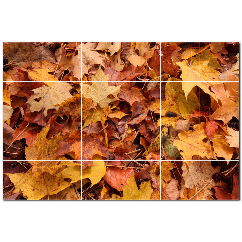 Photo d'automne 4,25 x 4,25