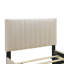 Lit plateforme tapissier en velours avec lit gigogne-112511389-106492948