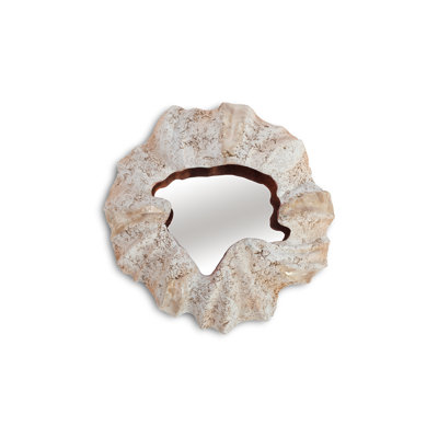 Barnacle Wall Décor