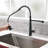 FLG 1270series Pull Down Kitchen Faucet-75030009