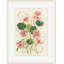 Nasturtium 1 Print-2125248280
