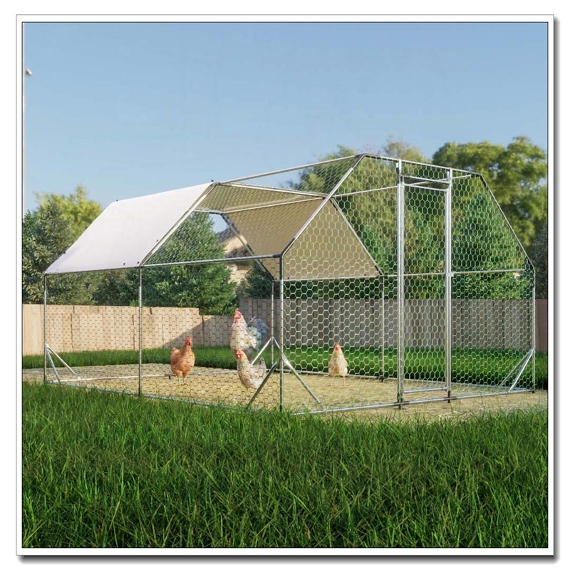 Grand poulailler en métal galvanisé, H 76,32 po x l 154,08 po x P 119,28 po