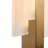 Acari LED Flush Mounted Sconce