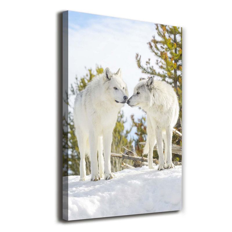 Two White Wolves - Wrapped Canvas Print