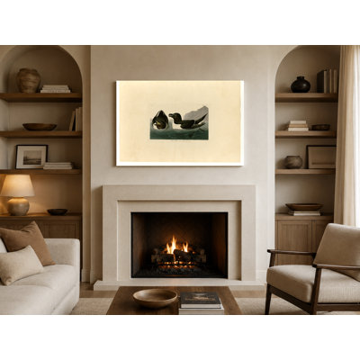 Razor Bill (Plate CCXIV) — Birds Canvas Wall Art