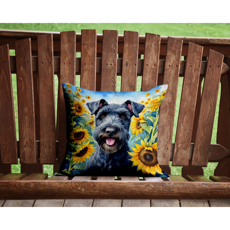 Other/No Pattern Outdoor Throw Pillow, 14" H x 14" W