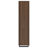 Rodger Walnut 3-Shelf Cabinet Bookcase