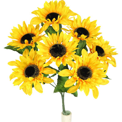 Tige de tournesol pleine floraison
