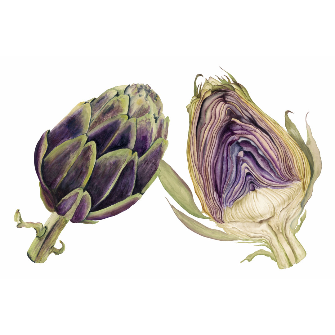 Leinwandbild Watercolour Artichoke von Michael Willett