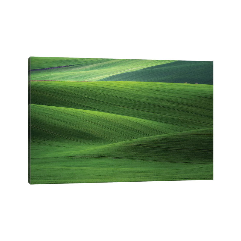 Europe, Czech Republic. Moravia Wheat Fields. by Jaynes Gallery - Wrapped Canvas Print, 20.32cm H x 30.48cm W x 1.91cm D