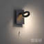 Milca LED Flush Mounted Sconce