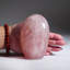 Polished Rose Quartz Freeform from Brazil (1.5 Lbs)