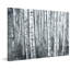 Parvez Taj - Wrapped Canvas Painting-36705847