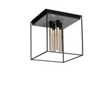 Caged Ceiling 4.0