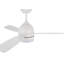 Breeauna 122Cm Ceiling Fan With Led Lights