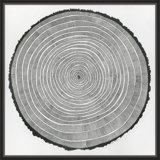 Time Lines 2 Print