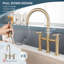 Robinet de cuisine KPAida-70801148