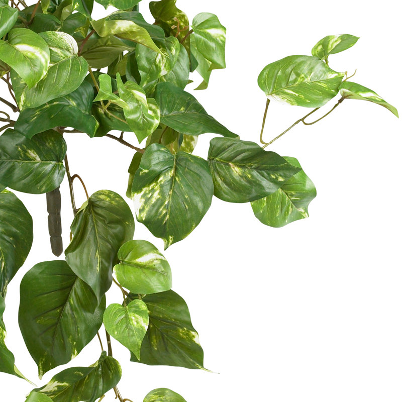 Ensemble de 3 plantes artificielles en forme de lierre, H 24 po x l 40 po x P 40 po