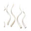 Corne intérieure Jontavis Kudu