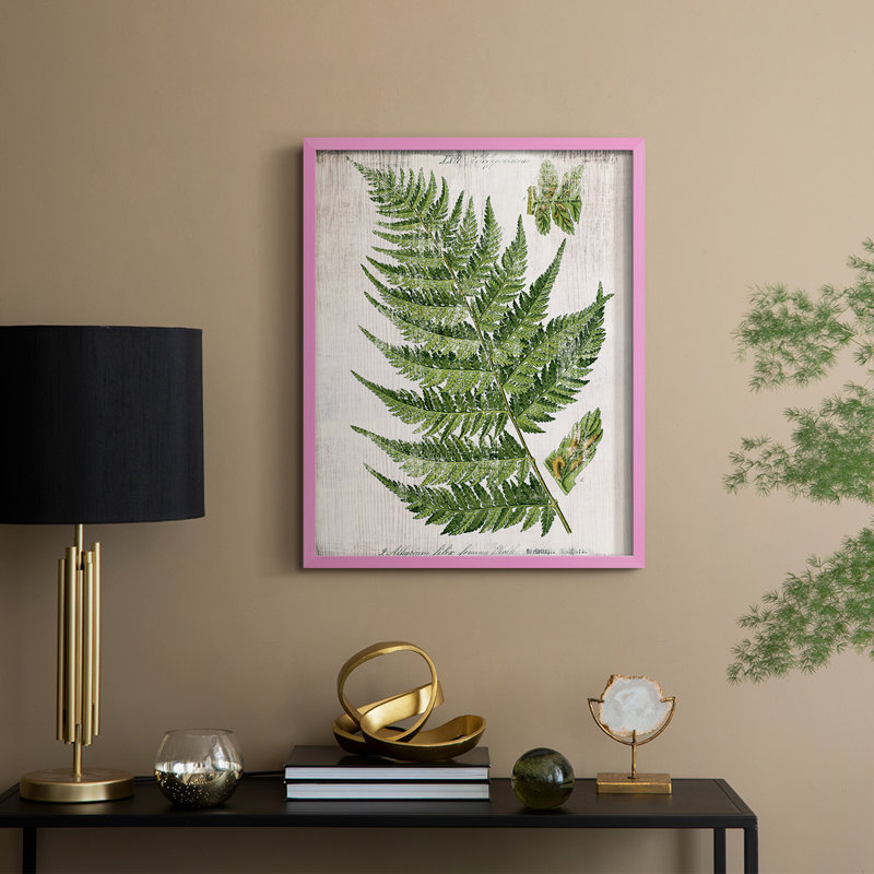 Greenhouse Fern II, reproduction encadrée - bois massif, Rose, H 11 po x l 9 po
