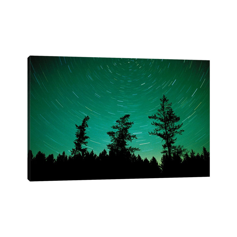 Canada, Manitoba, Sandilands Provincial Forest. Star trails and northern lights. 1 Piece Wrapped Canvas Painting