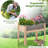Wetumka Vertical Garden