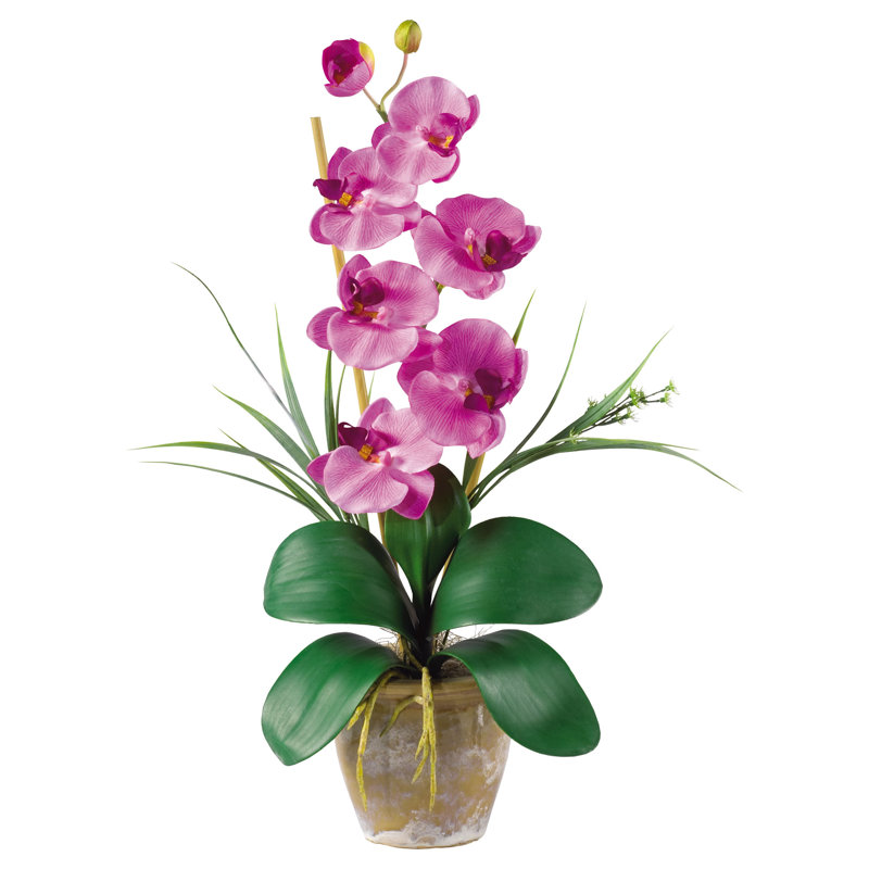 Arrangement floral orchidée en soie phalaenopsis en pot, Mauve clair