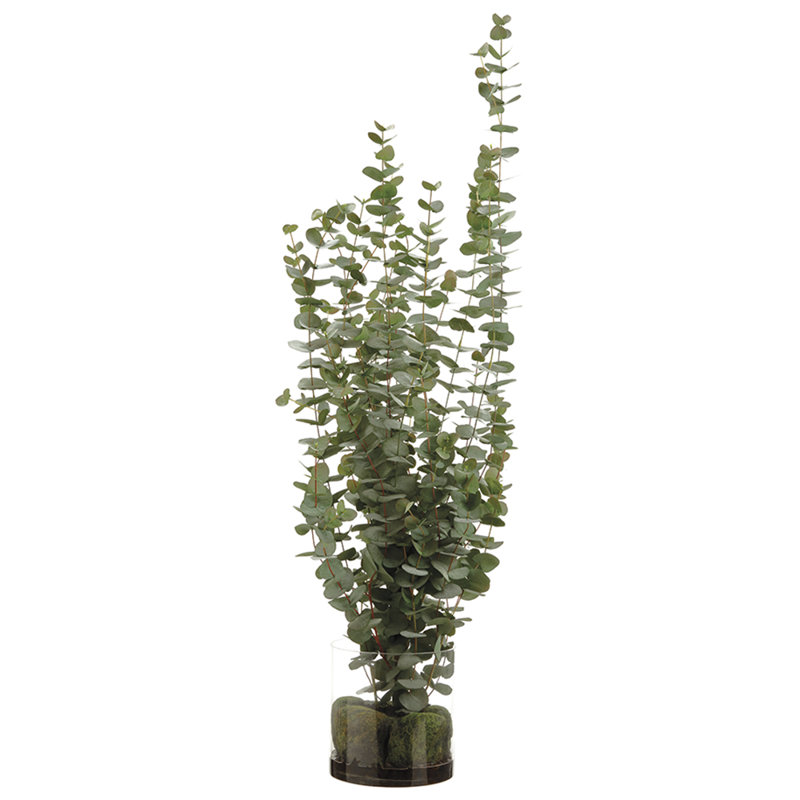 56H18W22"L EUCALYPTUS IN VASE