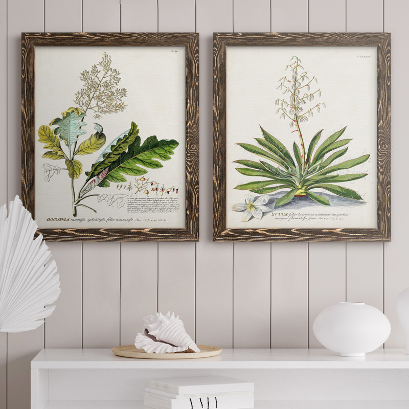 «Allurant Botanical I», ensemble de 2 reproductions d'art sur toiles, Toile avec cadre en noyer, H 20 po x l 17 po x P 1 po