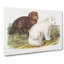 Arctic Fox by J.W. Audubon - Wrapped Canvas Painting-55367791