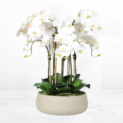 Silk Orchid Centerpiece Arrangement