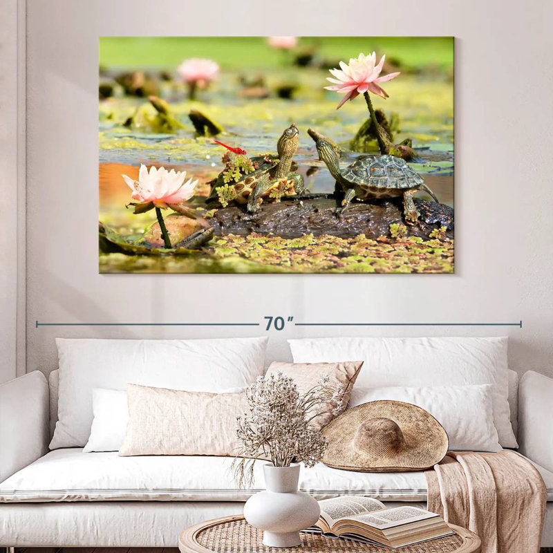 Tortues Brampt, H 34 po x l 51 po