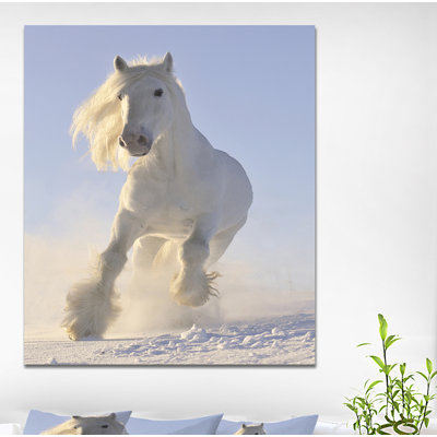 Reproduction de photo sur toile tendue, "campagne" white équin run galloping winter "