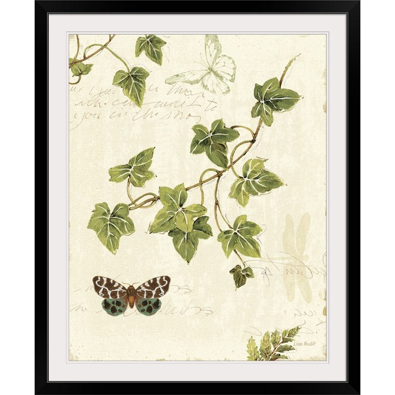 «Ivies and Ferns II» par Lisa Audit, impression, H 28 po x l 24 po x P 1 po, Cadre noir