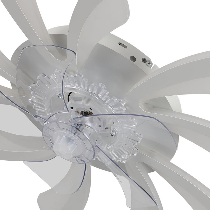 Ceiling Fan with LED Lights