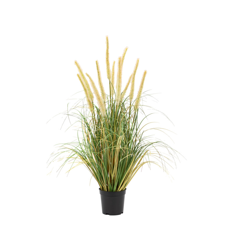 Potted Grass with Cattail Seed Heads (5pk), 57'' H x 43'' W x 43'' D