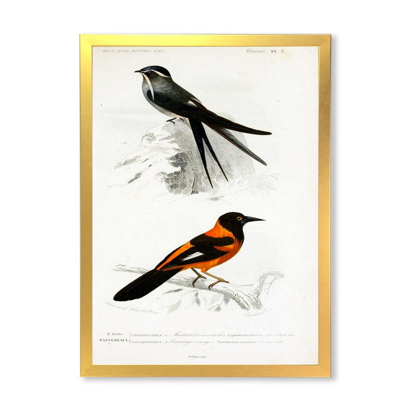 Oiseau rétro II - peinture sur toile, H 32 po x l 16 po x P 1 po, Cadre doré