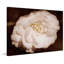 White and Willing in Sepia 1 Piece Wrapped Canvas Wall Art-228465297
