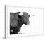 « corned animaux »-cadre photo, impression sur papier-20841194-19578698
