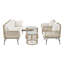 Beige Garden Lounge Sofa Set