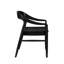 Solid Wood Arm Chair