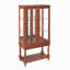 Vitrine lumineuse Curio Cabinet