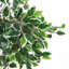 150cm Faux Ficus Tree in Freestanding